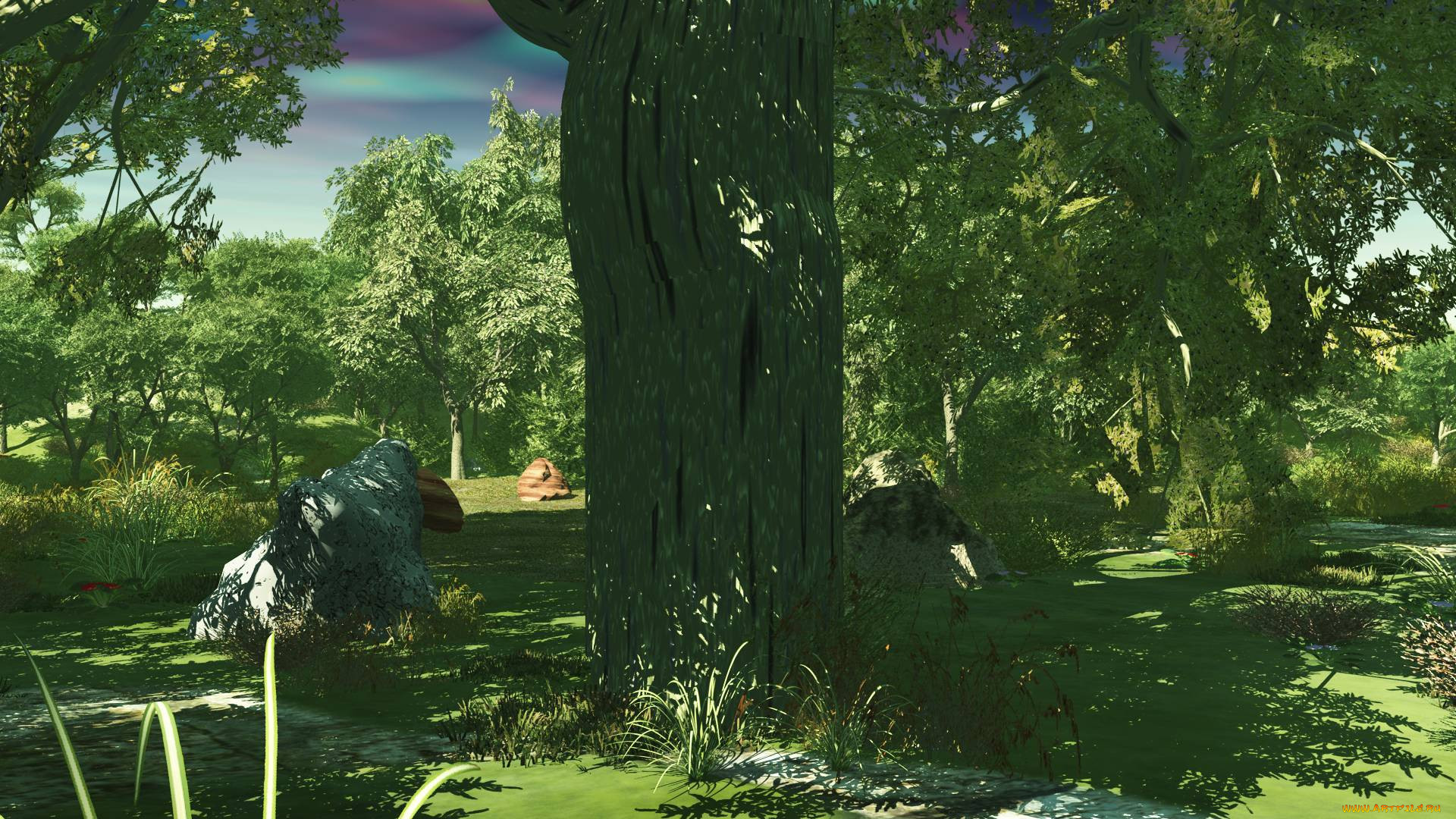3 ,  , nature, , 